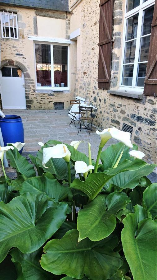 Appartement T2 "Le Cocooen" Rez-De-Jardin Au Calme Vitre  Exterior photo